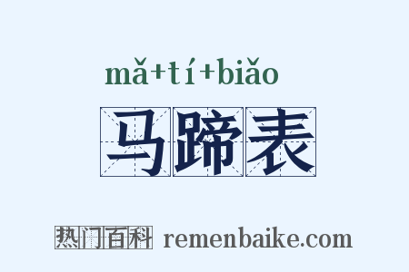 马蹄表是什么意思的图片